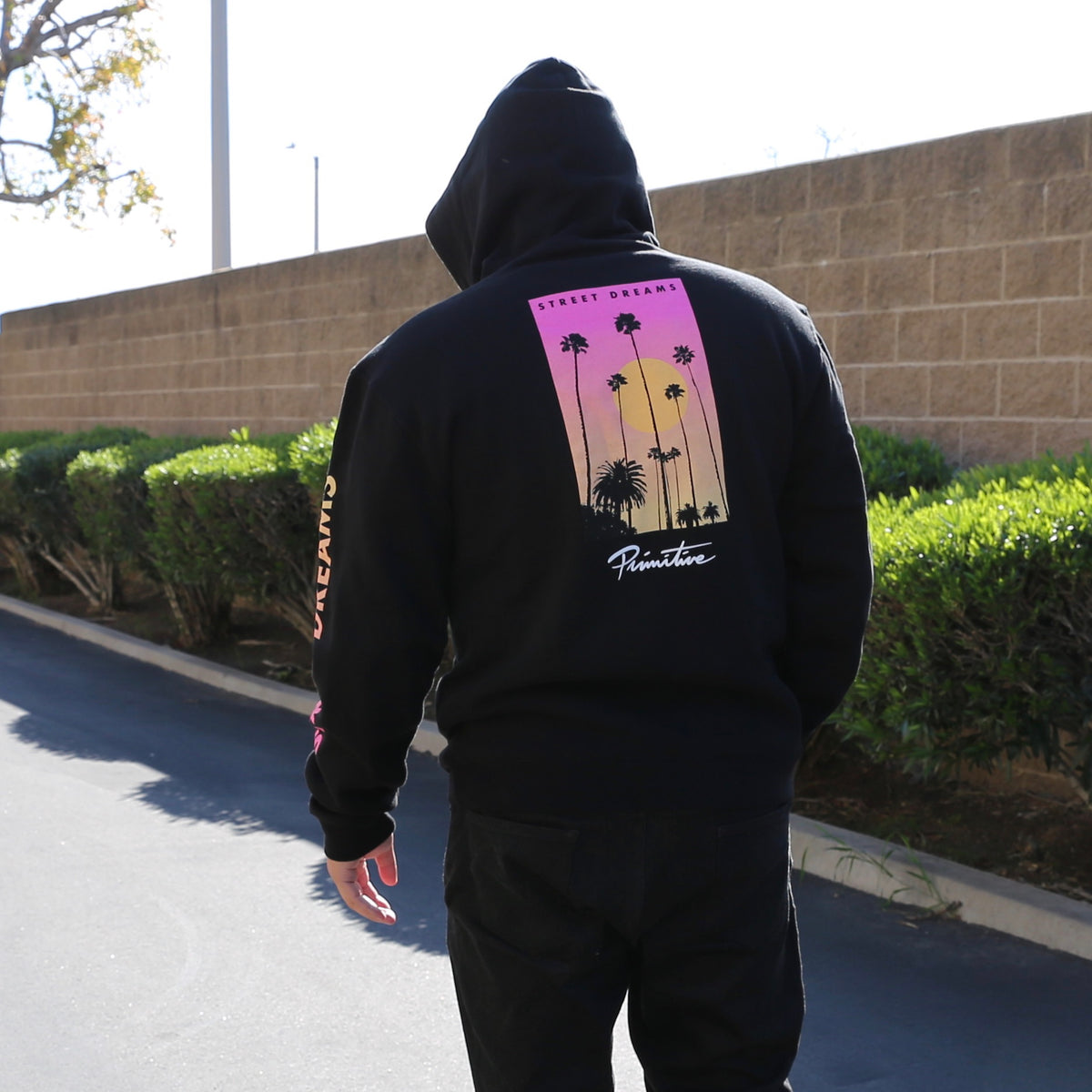 Street Dreams x Primitive